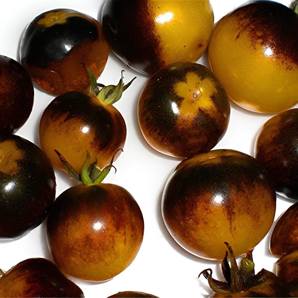 600 Seeds Bumble Bee Heirloom Tomato