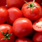 24 Seeds Combo Black/Red Tomato Chinese Yam Watermelon Flowers