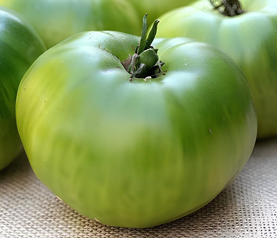 300 Seeds Rare 'Green Apple' Big Tomato