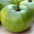 300 Seeds Rare 'Green Apple' Big Tomato