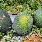 20 Seeds Long Black Sweet Juicy Watermelon