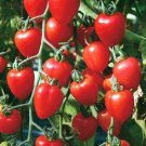 70 Seeds Very Sweet Red Cherry Tomato