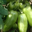 60 Seeds Green 'Banana' Tomato