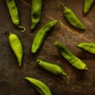 600 Seeds Sichuan Green Pickled Chili