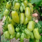 600 Seeds Rarest Dark Green 'MA NAI' Sweet Tomato Organic