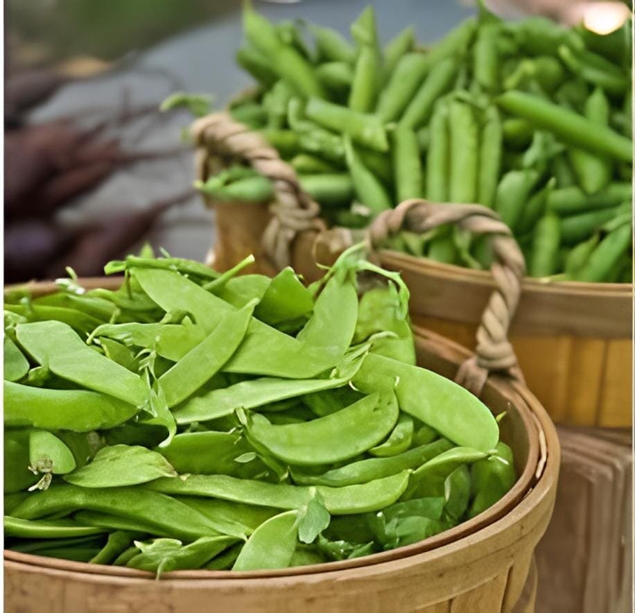 20 Seeds Sweet Green Vegetable Peas
