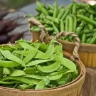 20 Seeds Sweet Green Vegetable Peas