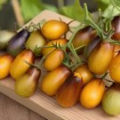 200 Seeds Pearl Drops Tomato F1