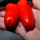 200 Seeds Super Rare Red AURIA Tomato