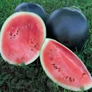 16 Seeds Black Long Sweet Watermelon (less seeds)