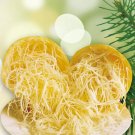 24 Seeds Watkins Melon Stir
