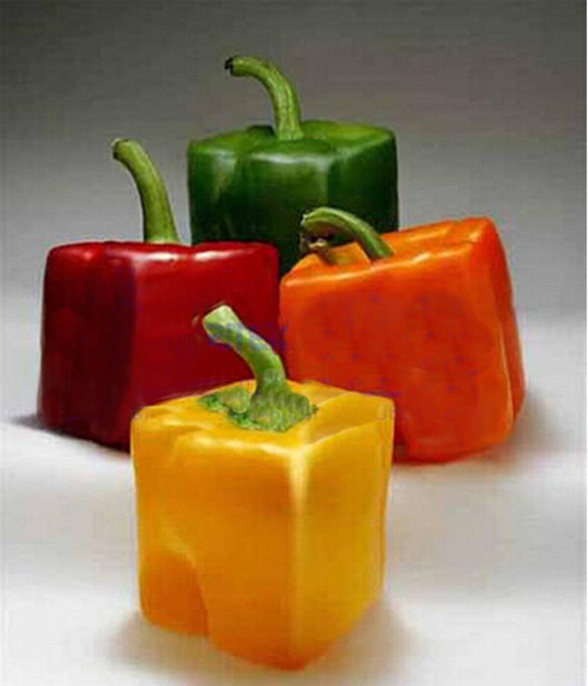 200 Seeds Mixed Orange Green Red Yellow Square Sweet Pepper F1