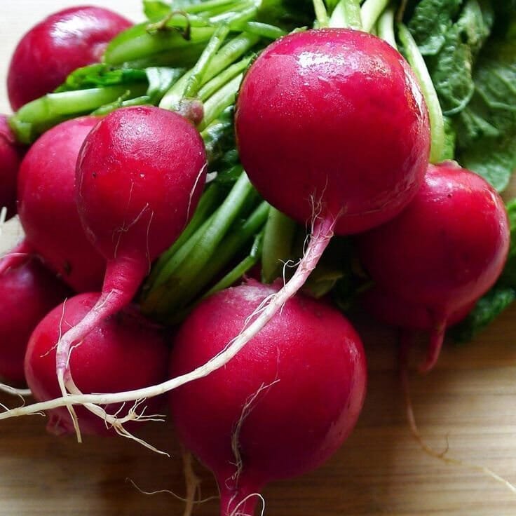 300 Seeds Red Cherry Radish Vegetable