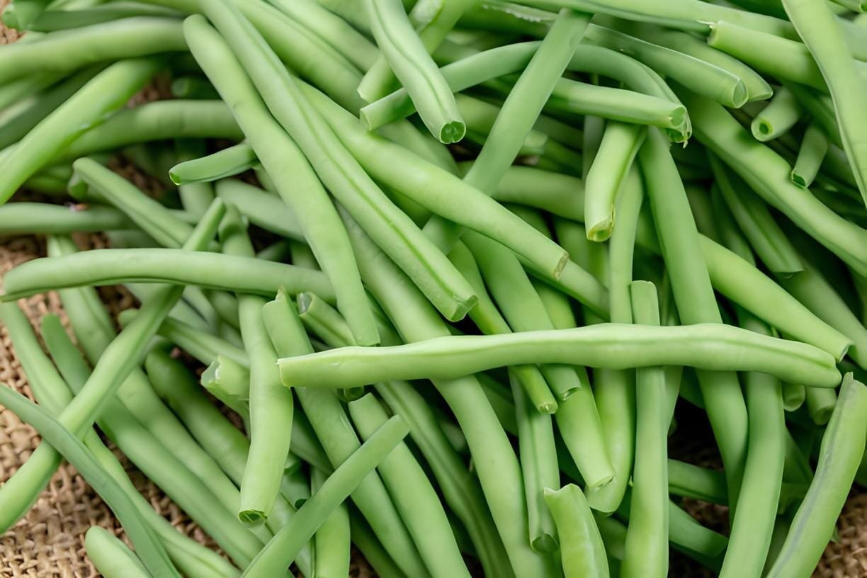 60 Seeds String Bean