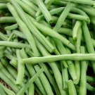 60 Seeds String Bean