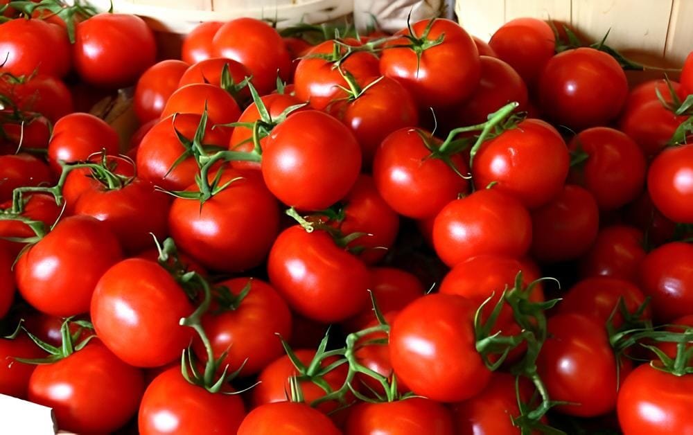 60 Seeds 30 Types of Different Gardening Tomato Organic