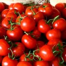 60 Seeds 30 Types of Different Gardening Tomato Organic