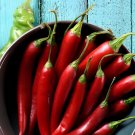 40 Seeds Hot Colorful Chili - Varied life
