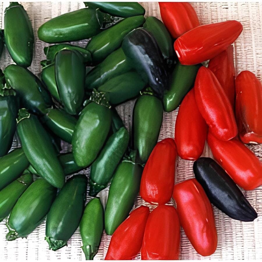 1000 Seeds Green Pickled Bubble Hot Chili Peppers All NON-Gmo Heirloom Vegetable