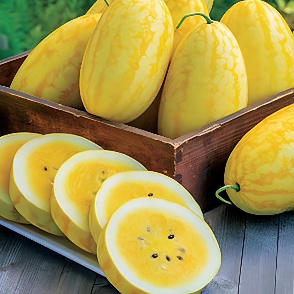 40 Seeds Yellow Skin Yellow Inside Sweet Round Watermelon 'Wu Feng'