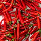 600 Seeds Sichuan Red Pickled Chili