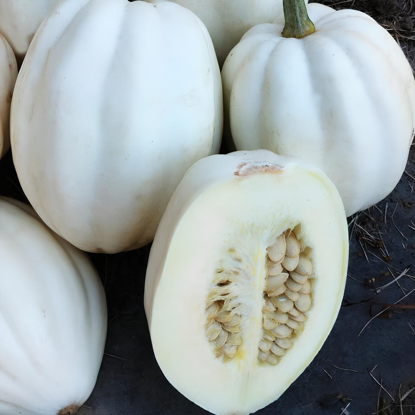 100 Seeds Mashed Potato Squash