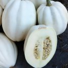 100 Seeds Mashed Potato Squash