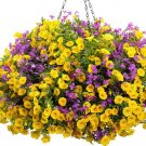 200 Seeds Kasuki Flower Flores Exotic Indoor Lavendar Geranium Rosa Moss Potted