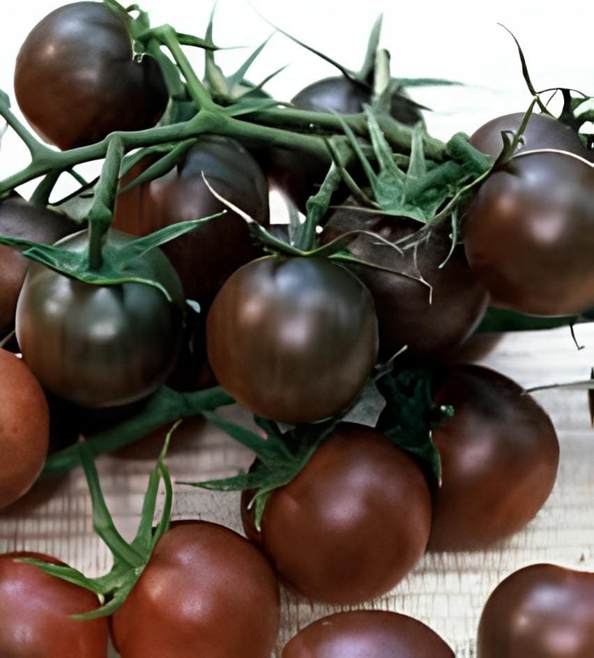 600 Seeds Small Colorful Cherry Tomato