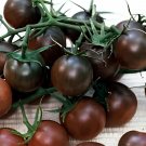 600 Seeds Small Colorful Cherry Tomato