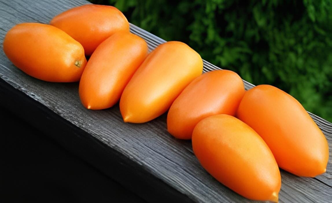600 Seeds Middle Red Banana Tomato