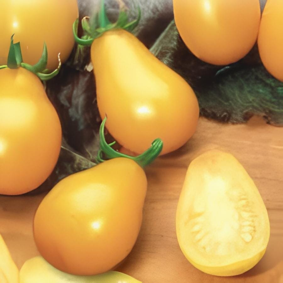 600 Seeds Middle Yellow McCullough Tomato