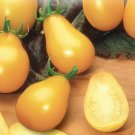 600 Seeds Middle Yellow McCullough Tomato
