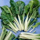 100 Seeds Green Swiss Chard