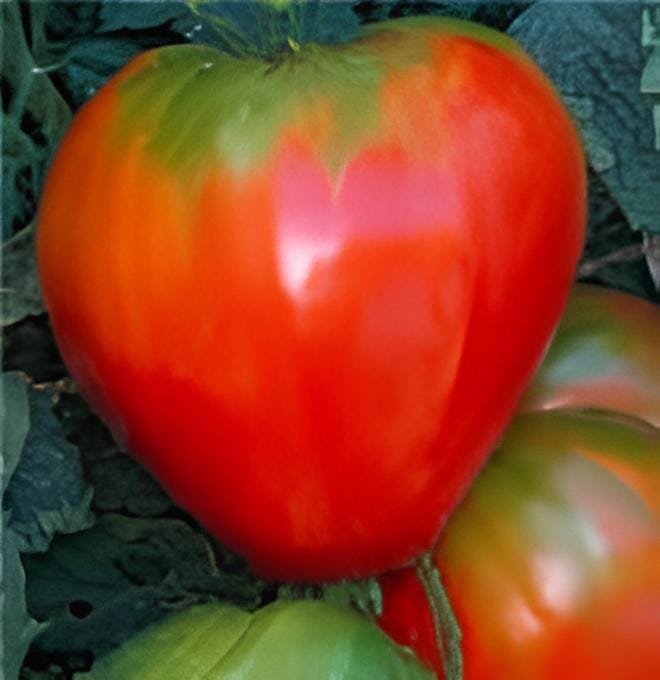 200 Seeds Heirloom Bright Red Strawberry-shaped Tomato