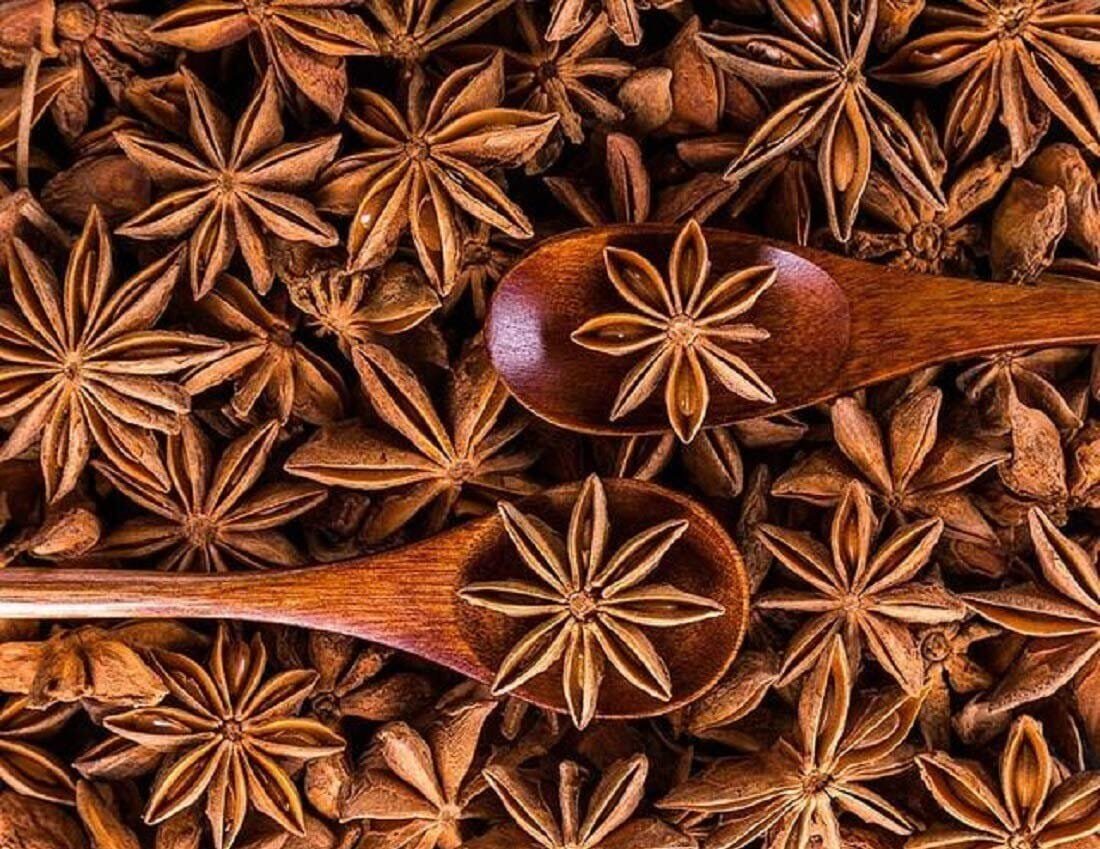60 Seeds Star Anise Illicium Verum Flower