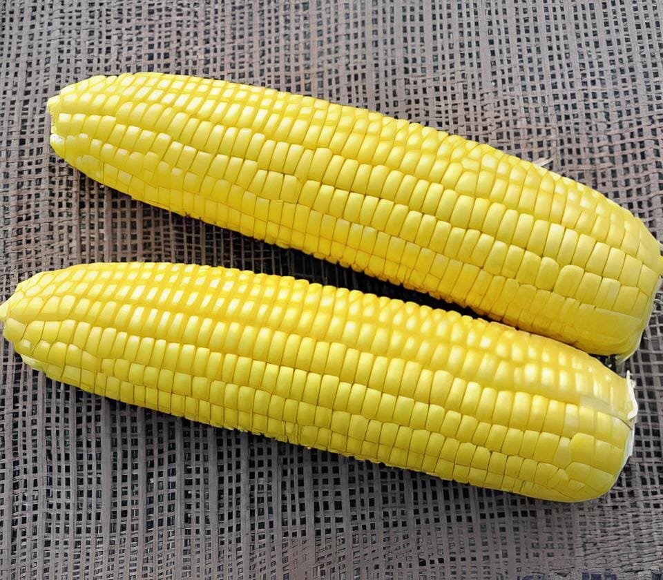 200 Seeds Super Sweet Fresh Yellow Corn High Yield