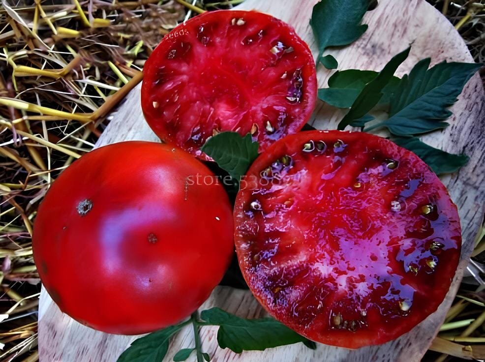 2000 Seeds Rare Cherokee Golden Big (Dark Brandy korol sibiri German bi-color RU