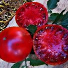 2000 Seeds Rare Cherokee Golden Big (Dark Brandy korol sibiri German bi-color RU