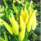 50 Seeds Pod Pepper Yellow Cluster of Hot Chili Vegetable