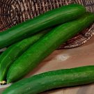 20 Seeds Cucumber Dark Green few Barbed Slippy Vegetable