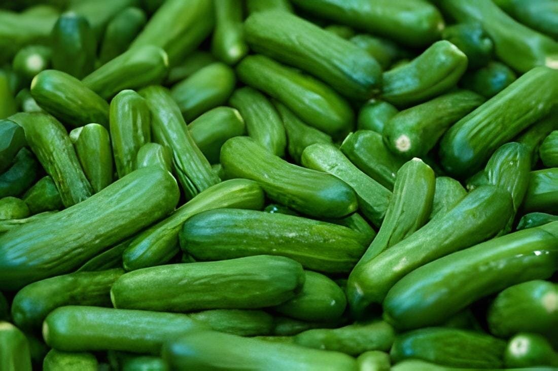 40 Seeds Cucumber Mixed Mini Small Medium Large Vegetable