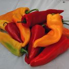 2000 Seeds Sweet Pepper 'Sunset Italian' Mixed