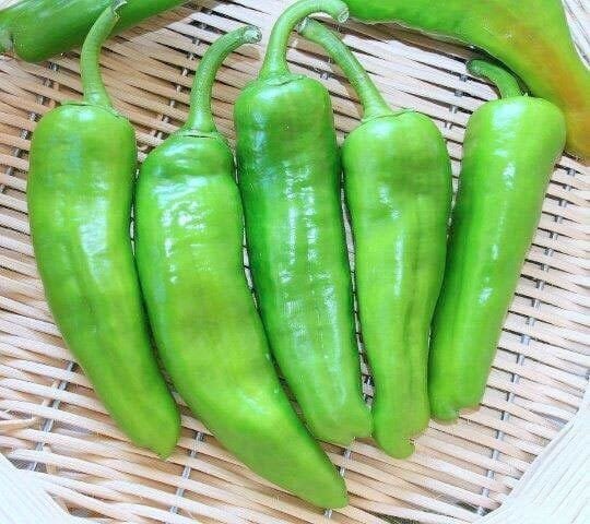 60 Seeds Green Sweet Devil's Horn Pepper
