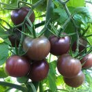 400 Seeds Tomato Blackish Purplish Red Big Fruit Vegetables