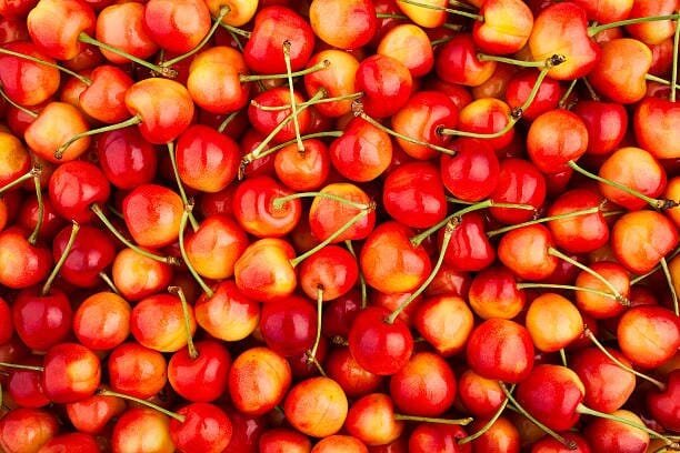 40 Seeds Rainier Cherries Female