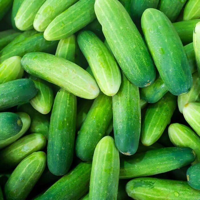 20 Seeds Mini Green Cucumber Vegetable