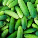 20 Seeds Mini Green Cucumber Vegetable