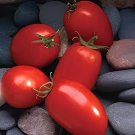 600 Seeds Tomato Bright Red Middle F1 Hybrid