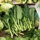 4000 Seeds Green Chinese Vegetables